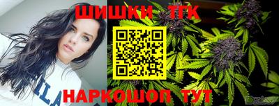 СК Камышлов