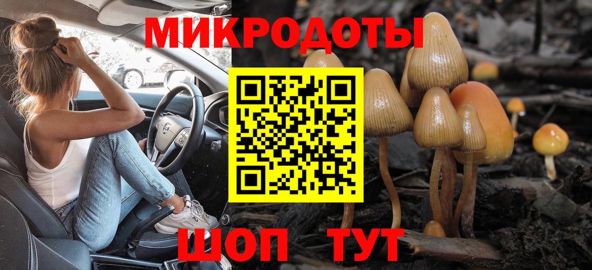 Псилоцибиновые грибы MAGIC MUSHROOMS Люберцы