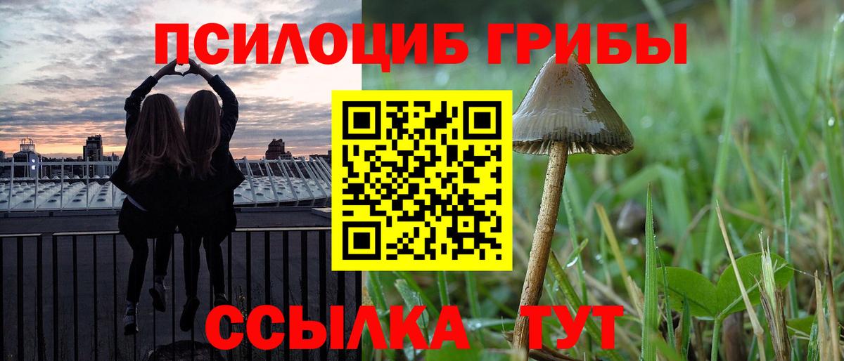 Люберцы  Псилоцибиновые грибы Psilocybine cubensis  Вход с VPN  Галлюциногенные грибы ЛСД 